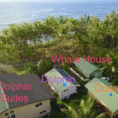 Whale House At Kehena Beach Pahoa Esterno foto