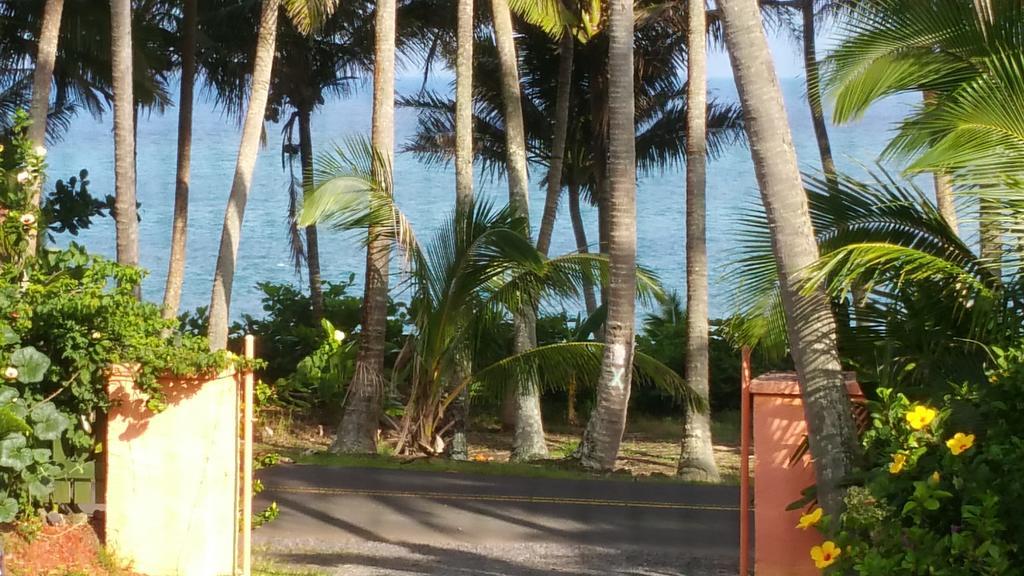 Whale House At Kehena Beach Pahoa Camera foto
