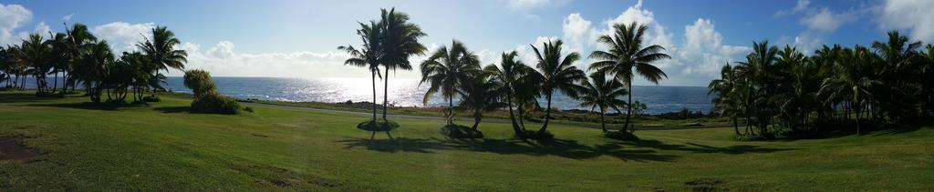 Whale House At Kehena Beach Pahoa Camera foto