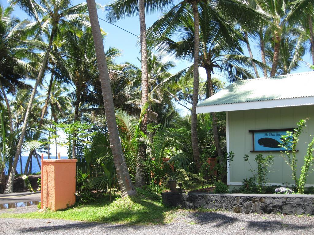 Whale House At Kehena Beach Pahoa Camera foto