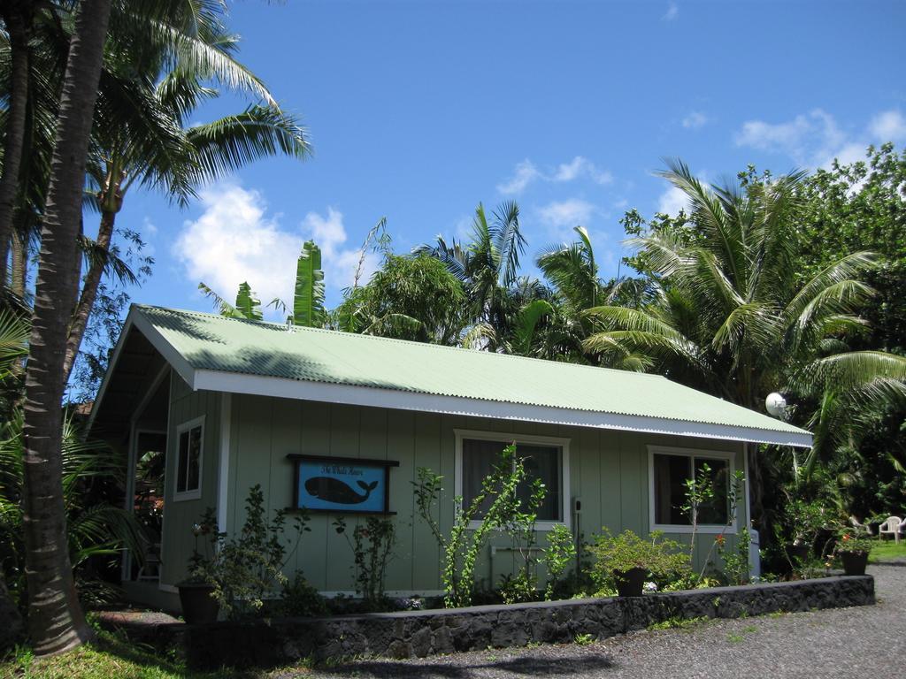 Whale House At Kehena Beach Pahoa Camera foto