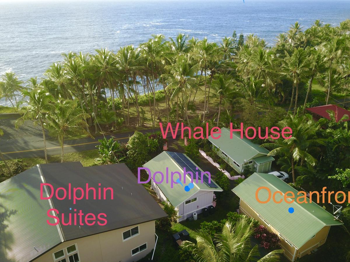 Whale House At Kehena Beach Pahoa Esterno foto
